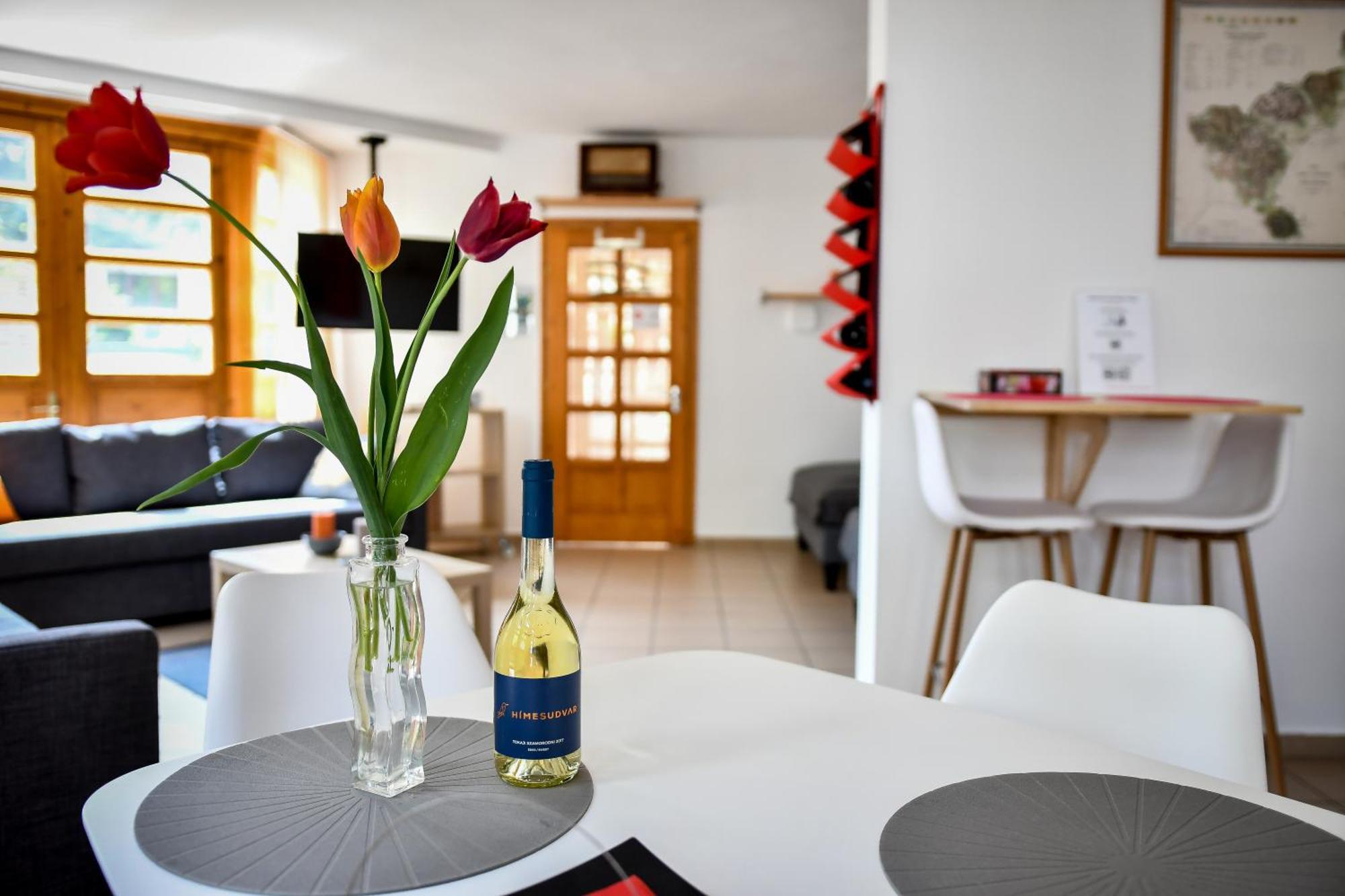 Boralom Studio Apartman Tokaj Eksteriør billede
