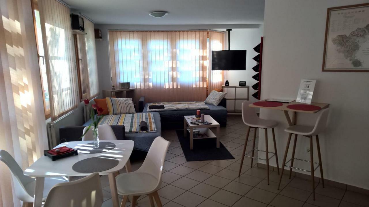 Boralom Studio Apartman Tokaj Eksteriør billede