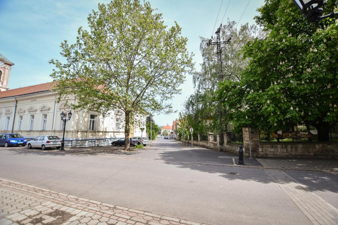 Boralom Studio Apartman Tokaj Eksteriør billede